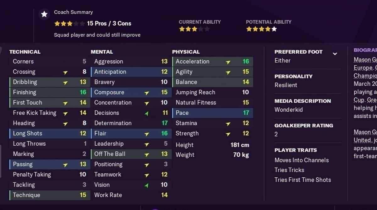 Football Manager 2021 Mobile Mod