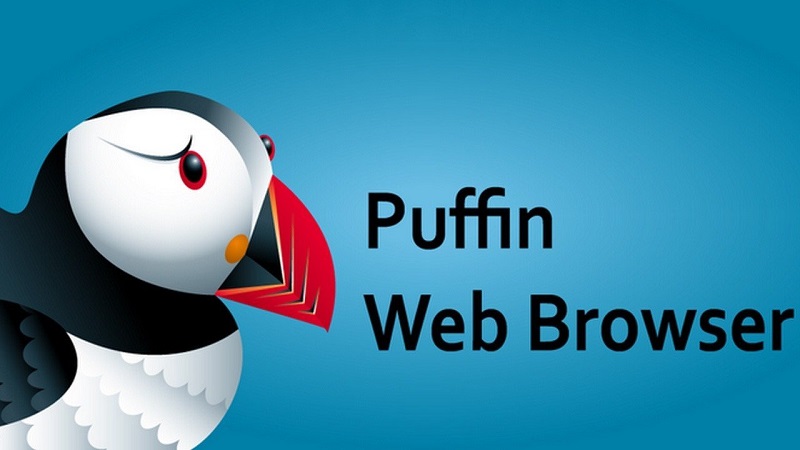 Puffin Browser Pro Mod Apk (Mod Mở khóa Premium/ Paid)