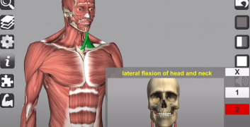 3d anatomy mod apk