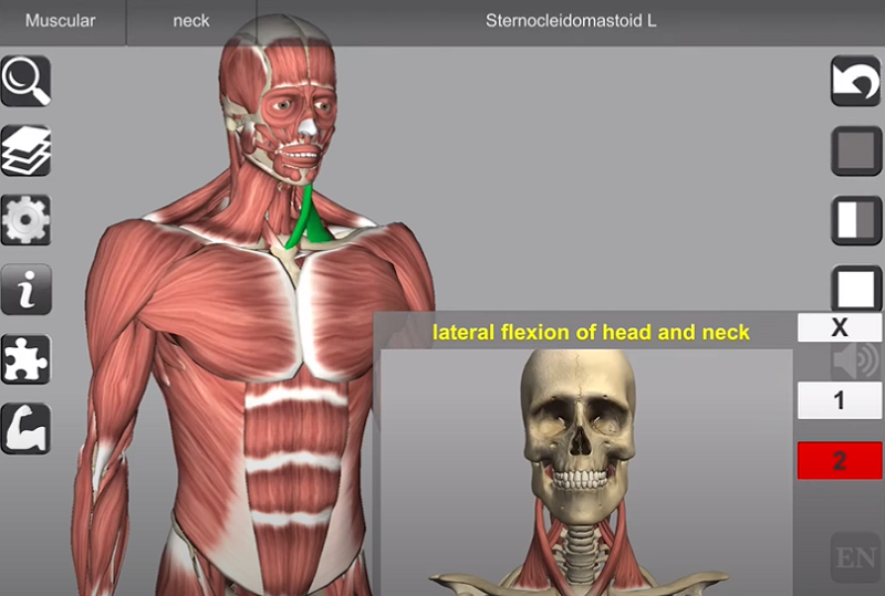 3D Anatomy Mod Apk (Mod Mở Khóa Tất Cả/ Full Paid)