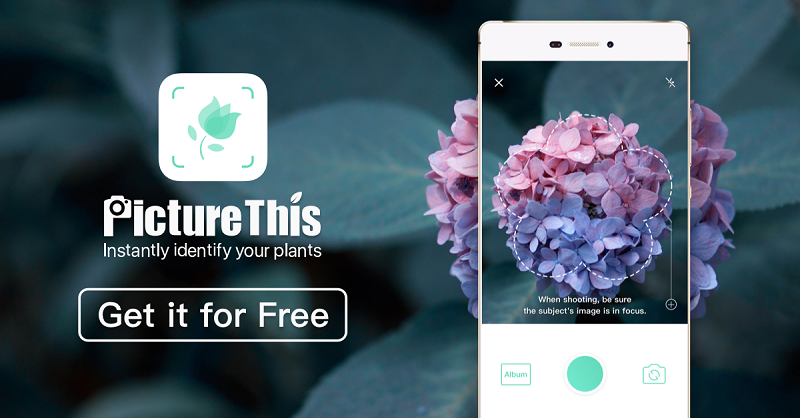 PictureThis Mod Apk (Mod Mở Khóa Premium)